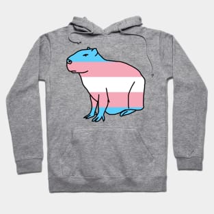 Transgender Pride Flag Capybara Hoodie